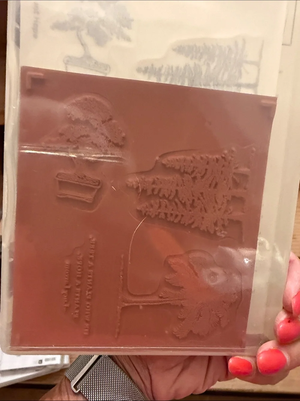 5 andStampin' Up! Natural Botanicals & Take Care Stamp Sets-all new!
